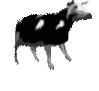 Emoji TT_polish_cow