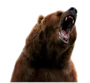 Emoji ragebear