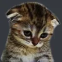 Emoji sad