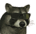 Emoji RainbowRaccoon