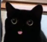 Emoji blep