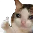 Emoji ok