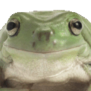 Emoji F_FrogYes