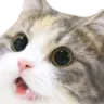 Emoji CHATcatwoah