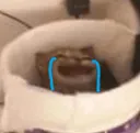 Emoji TI_azachouine