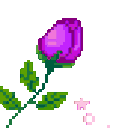 Emoji RosePurple