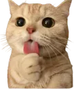 Emoji emoji_73