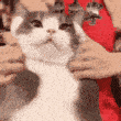 Emoji emoji_77