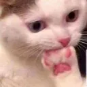 Emoji emoji_79