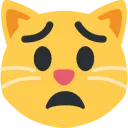 Emoji 6140worriedcat