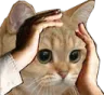 Emoji catohno