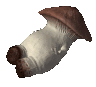 Emoji champignon