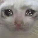 Emoji EKI_jplore_po