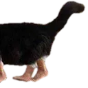 Emoji emoji_83