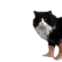 Emoji emoji_84