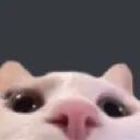 Emoji littlecat