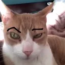 Emoji yousure