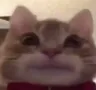Emoji interesting