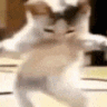 Emoji catdanse