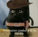 Emoji cowboyy