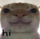 Emoji hi