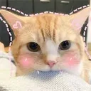 Emoji niom
