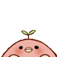 Emoji cc_pinkgirl_peeks