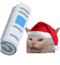 Emoji christmascatbonk