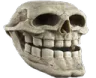 Emoji 1254trollskull