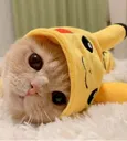 Emoji 6688pikacat2
