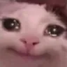 Emoji 6762sadcat