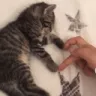 Emoji 8288catzluv