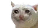 Emoji sniff