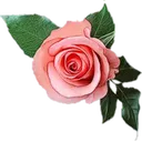 Emoji emoji_46