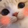 Emoji Nl_je_suis_kro_cute