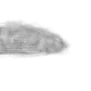 Emoji Drift3
