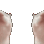 Emoji catkiss