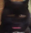 Emoji wotdehell