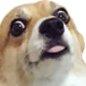 Emoji 905050482320486431