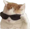 Emoji CatSunglass