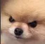 Emoji AngryDog