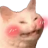 Emoji CochonBlush