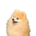 Emoji what