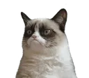 Emoji tu_veux_quoi_toi