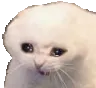 Emoji cryingcat