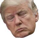 Emoji PresidentSleeper