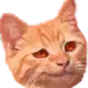 Emoji chat