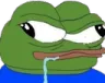 Emoji pepedumb
