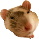 Emoji ratuwu