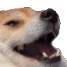 Emoji GifWauff